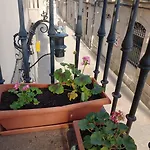 Bed & Breakfast El Bordon De La Casa Batallon